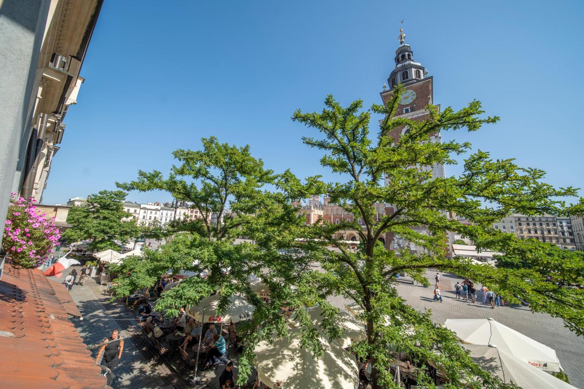 Pod Jagnieciem - Rynek Glowny Apartment Krakow
